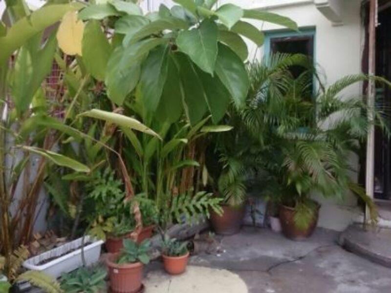 28 Bahari Hotel George Town  Kültér fotó